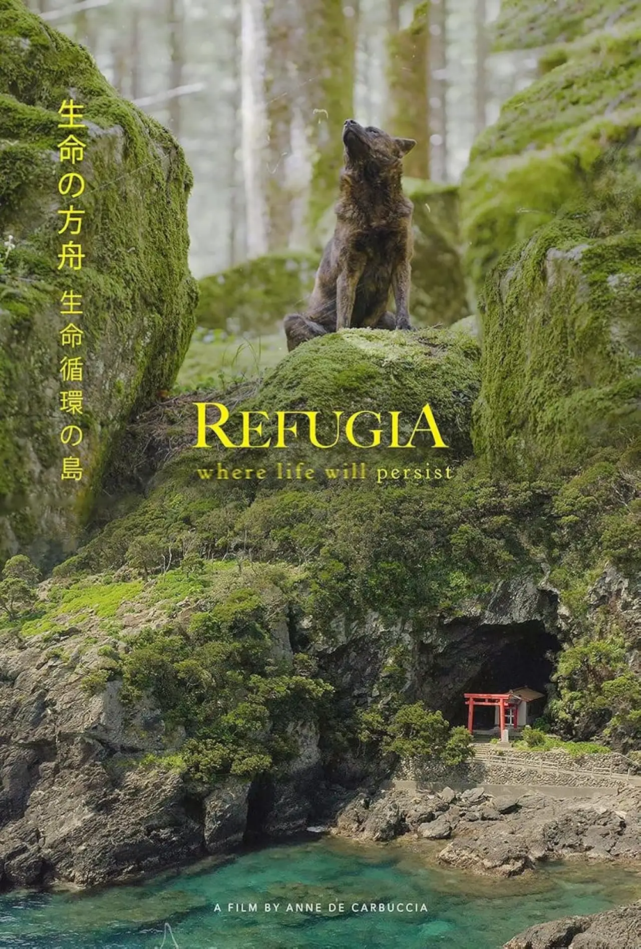Movie poster "Refugia, Where life will persist"