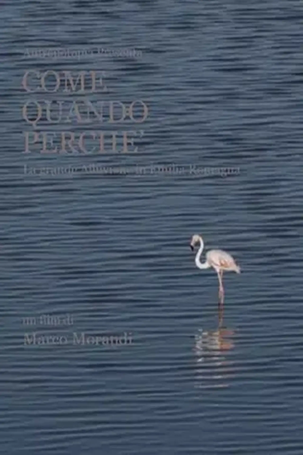 Movie poster "Come quando perché"