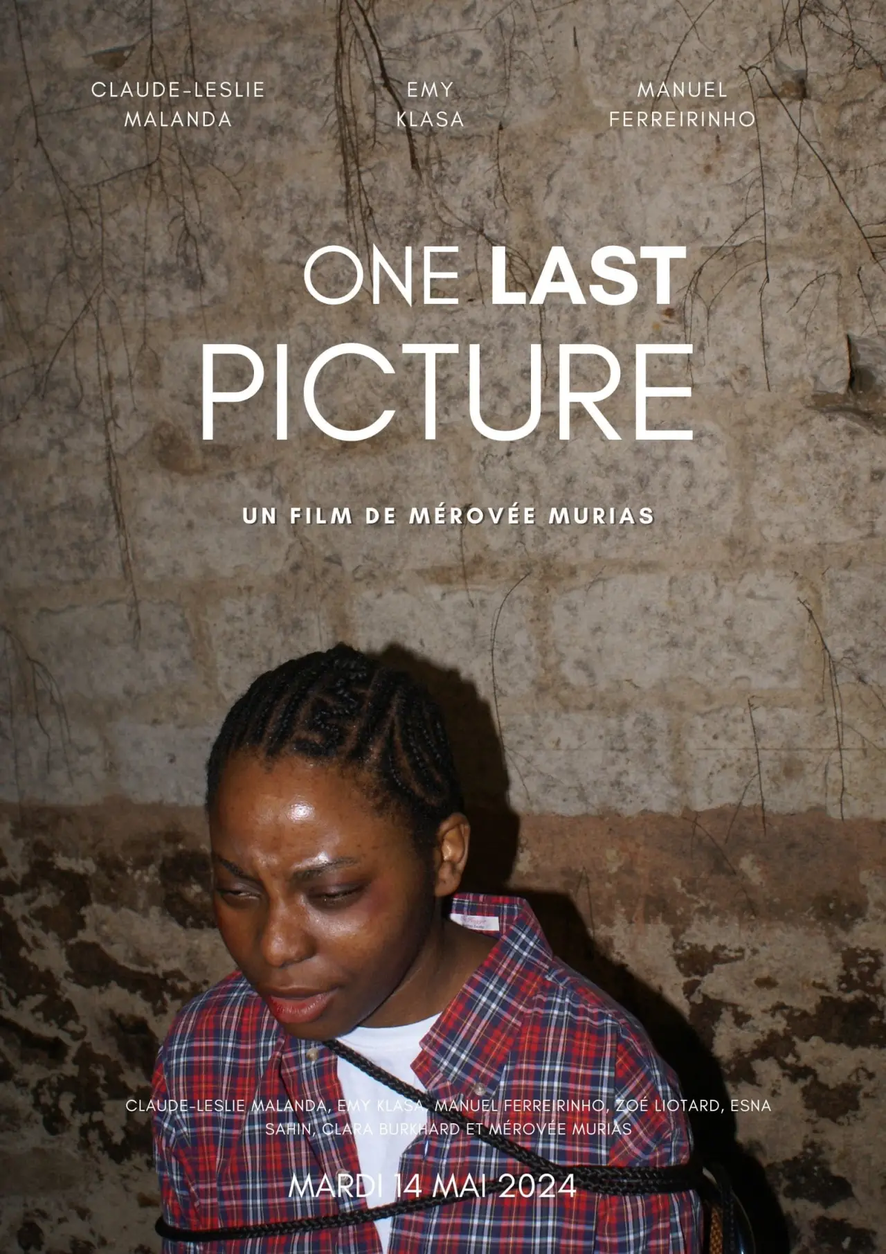 Movie poster "One Last Picture"