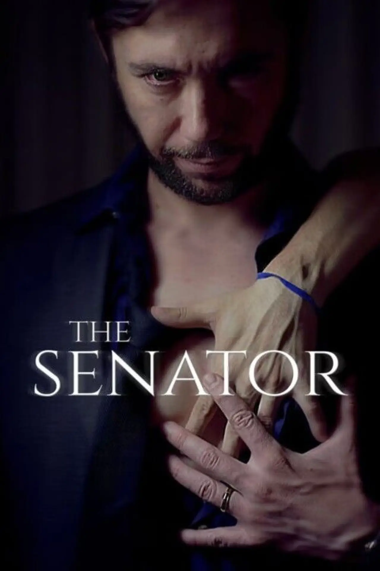 Movie poster "The Senator"