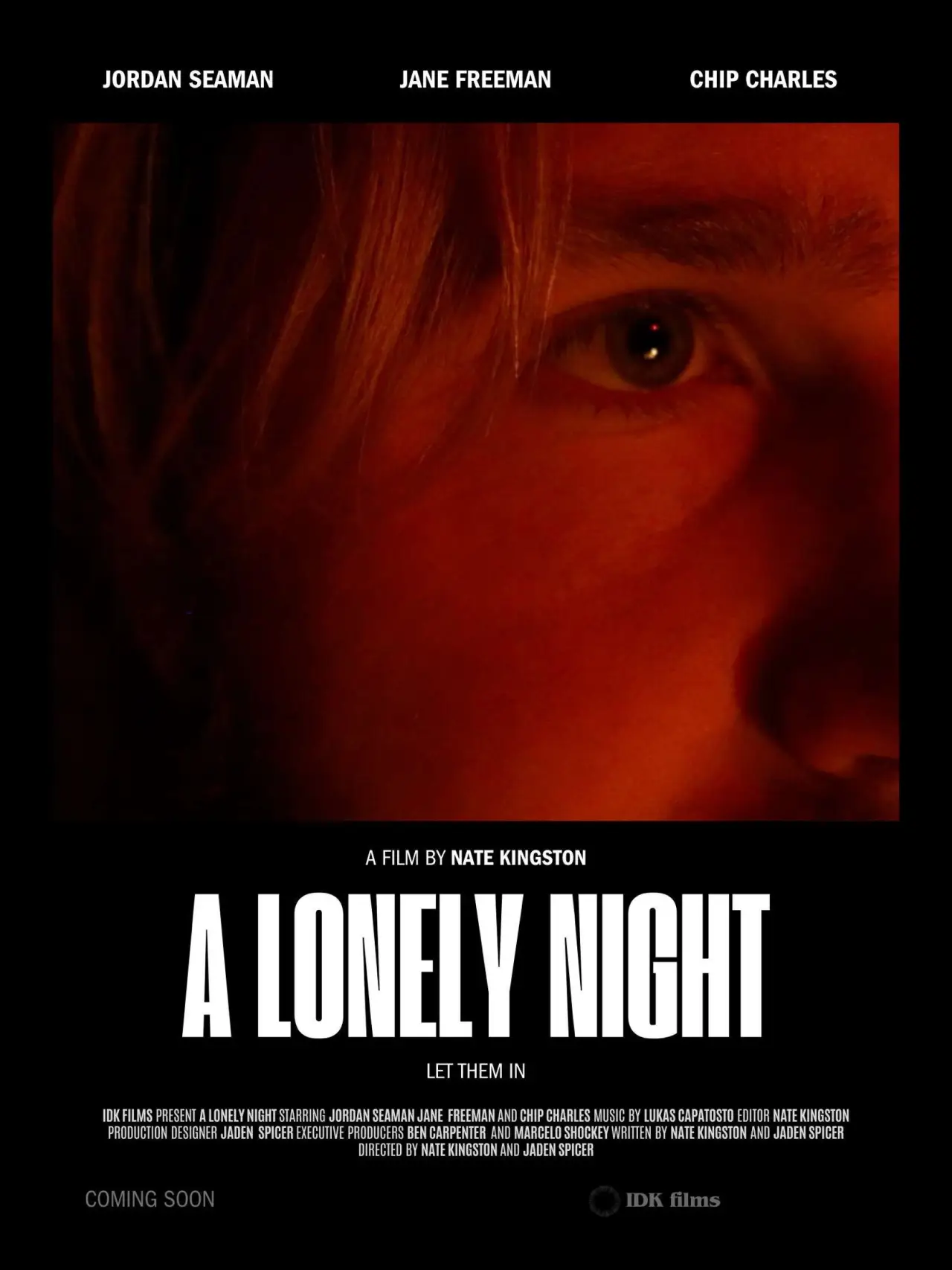 Movie poster "a lonely night"