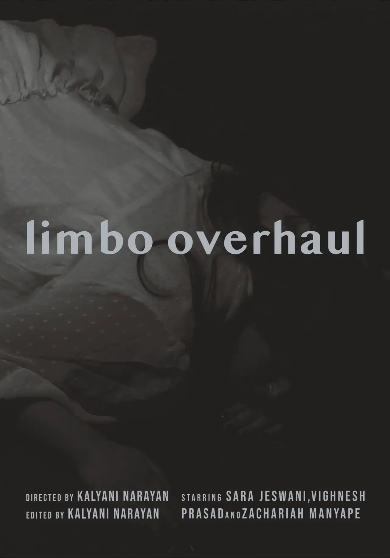 Movie poster "Limbo Overhaul"