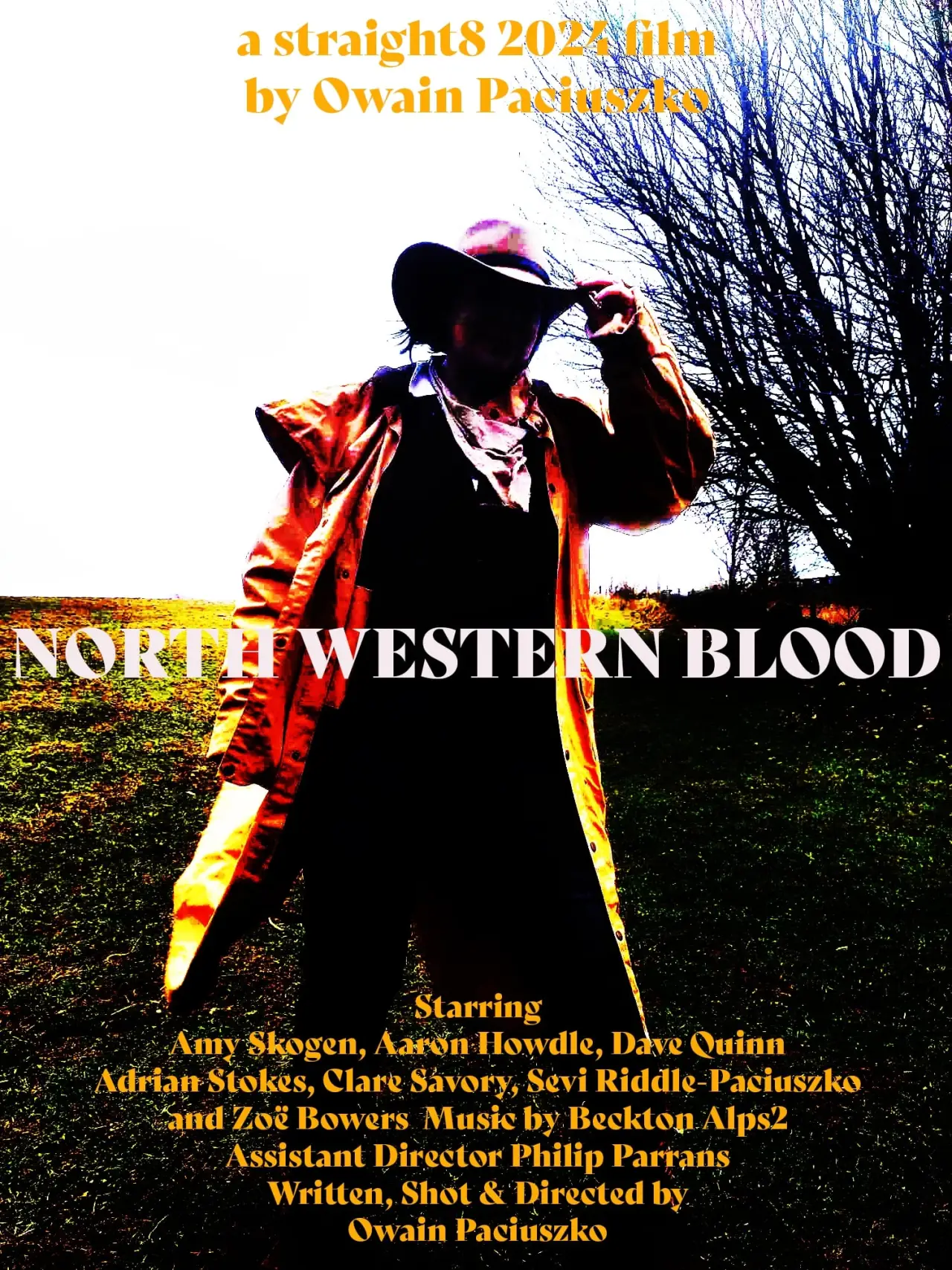 Movie poster "North Western Blood"