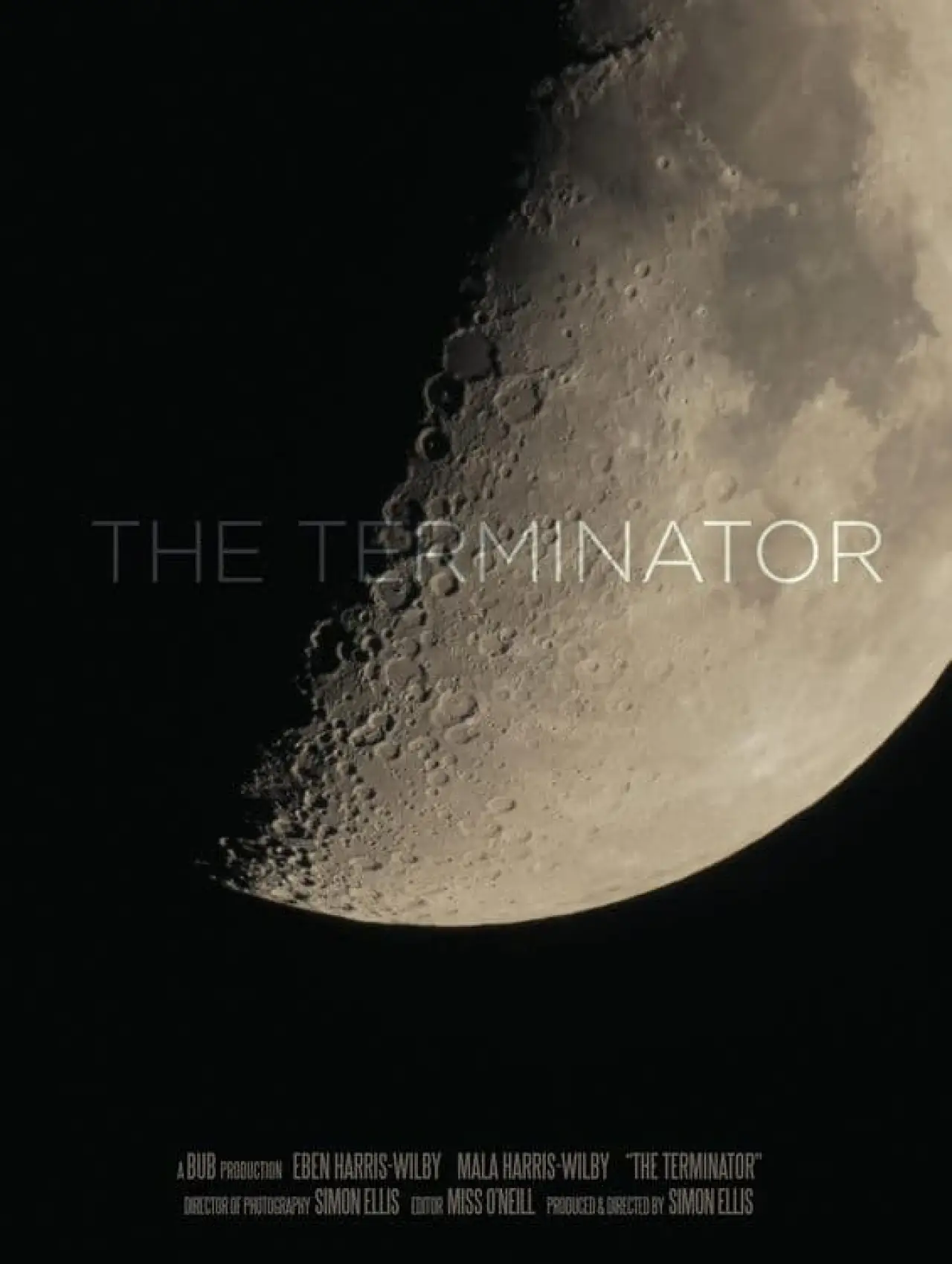 Movie poster "The Terminator"