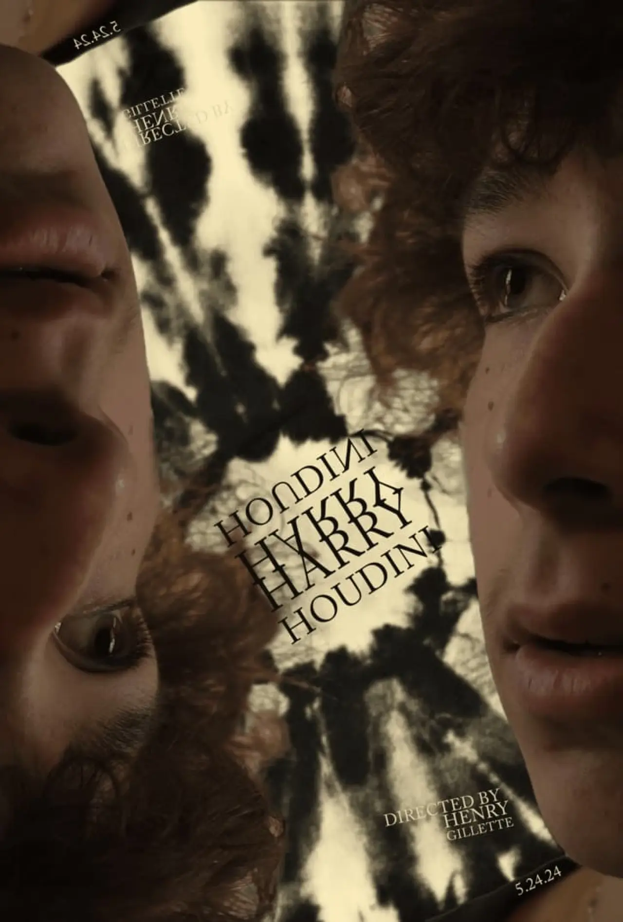 Movie poster "Harry Houdini"