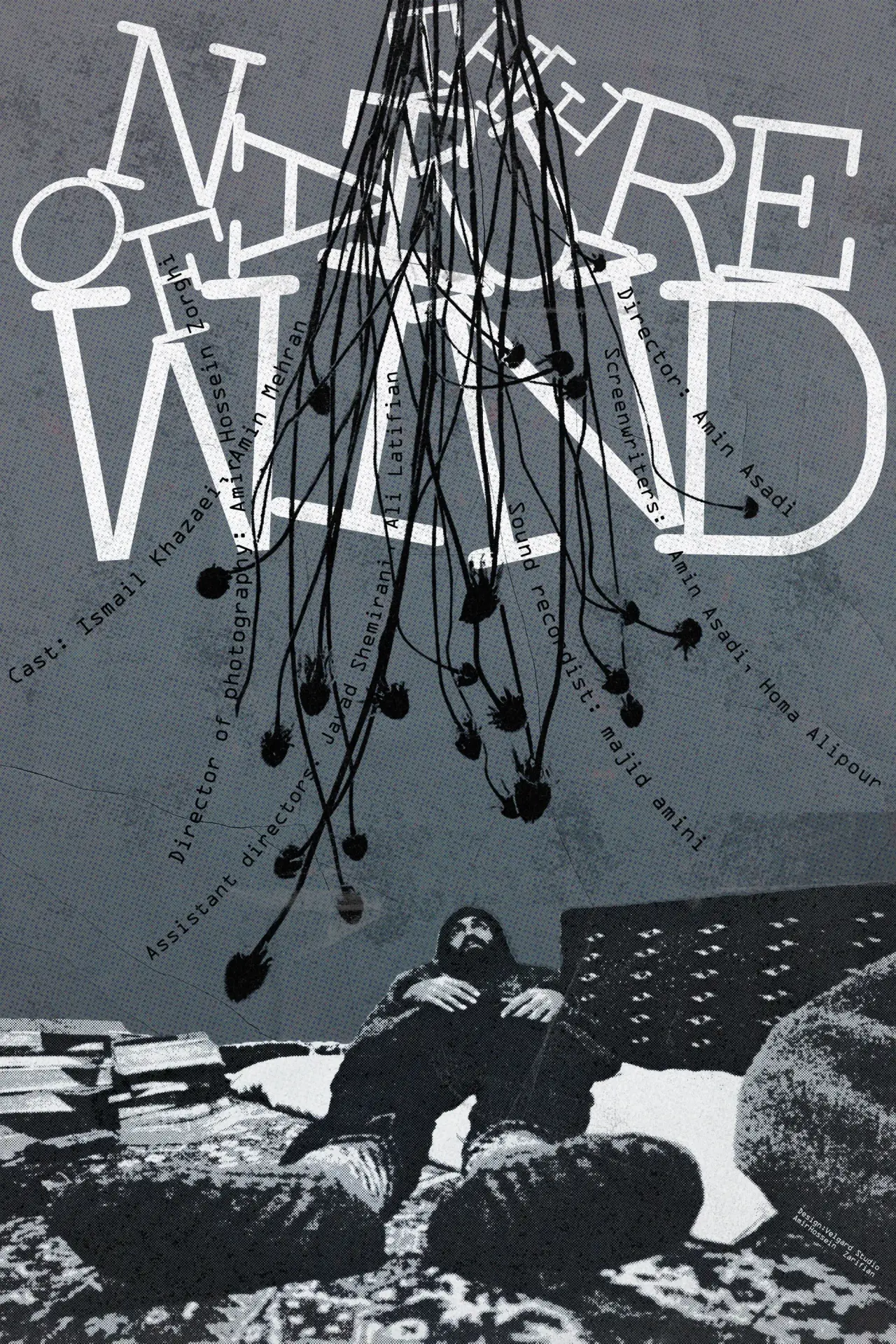 Movie poster "The Nature of Wind"