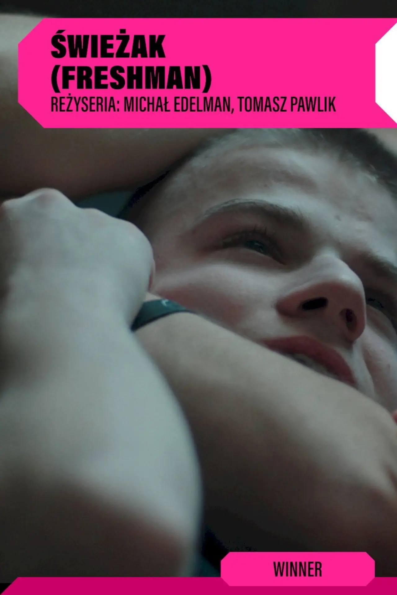 Movie poster "Freshman"