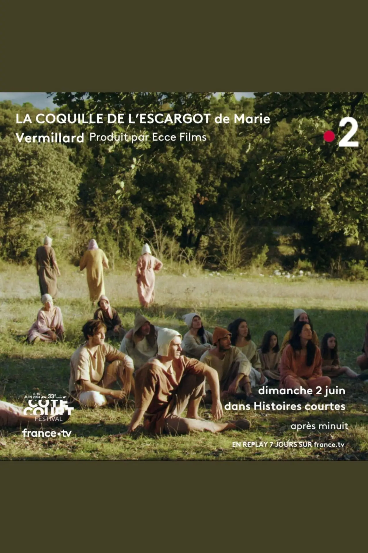 Movie poster "La Coquille de l