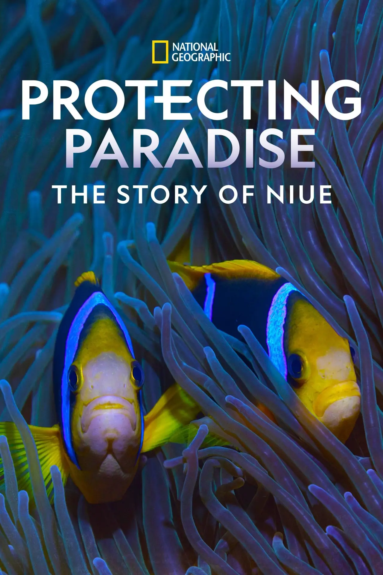 Movie poster "Protecting Paradise: The Story of Niue"