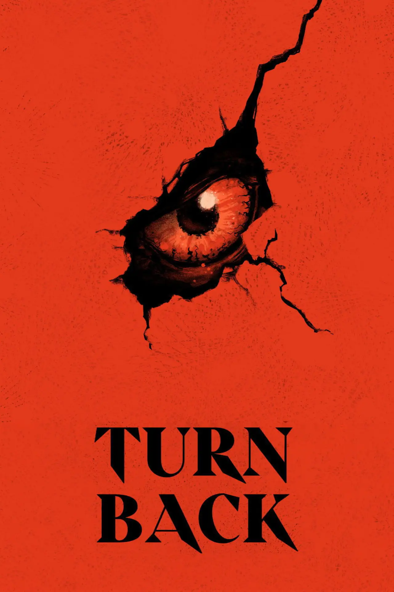 Movie poster "Turn Back"