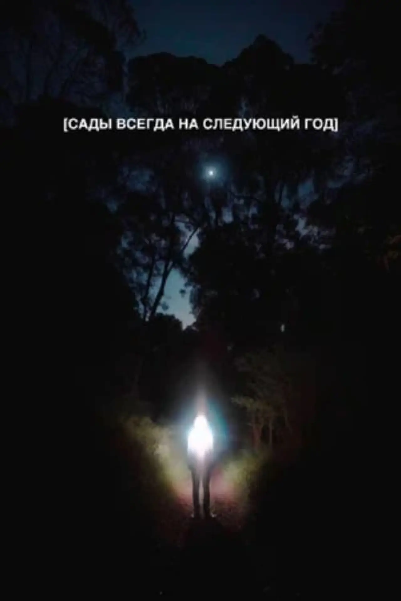Movie poster "Gardens Are Always for Next Year"