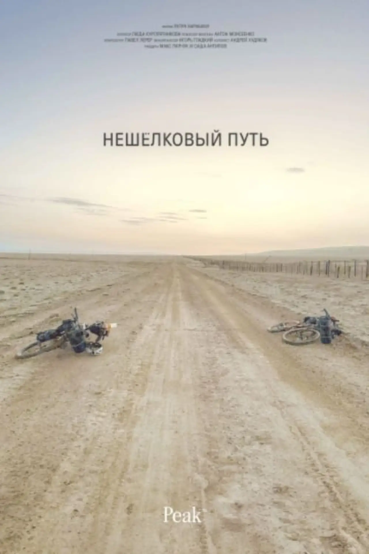 Movie poster "Non-Silk Road"