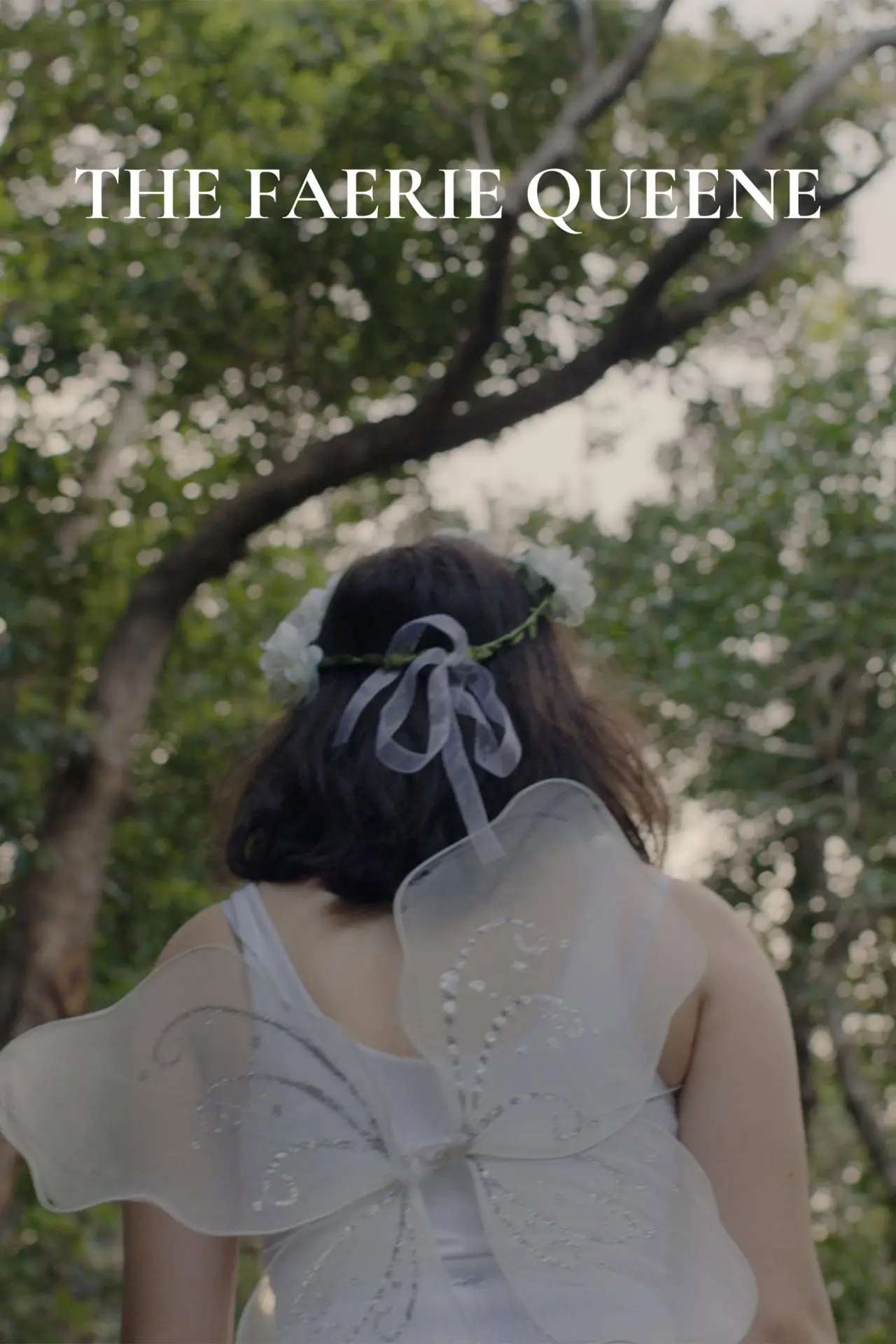 Movie poster "The Faerie Queene"