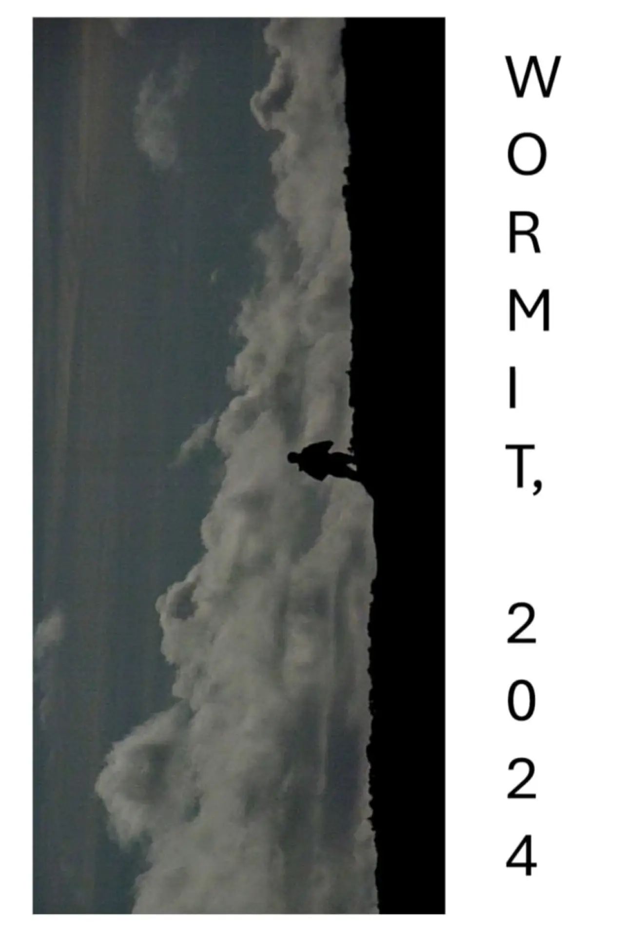 Movie poster "WORMIT, 2024"