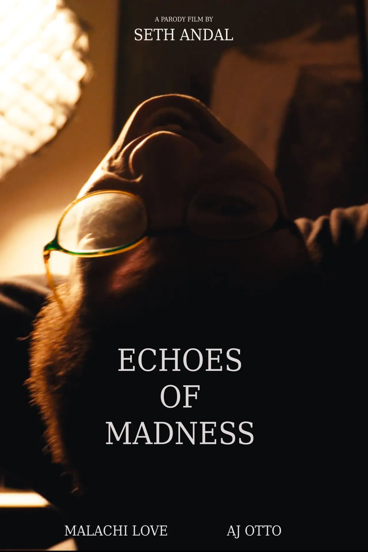 Movie poster "Echoes of Madness"