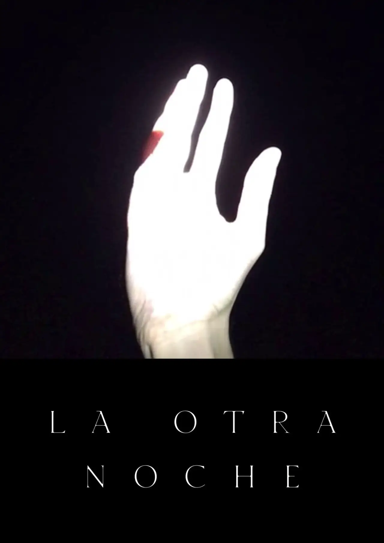 Movie poster "The Other Night"