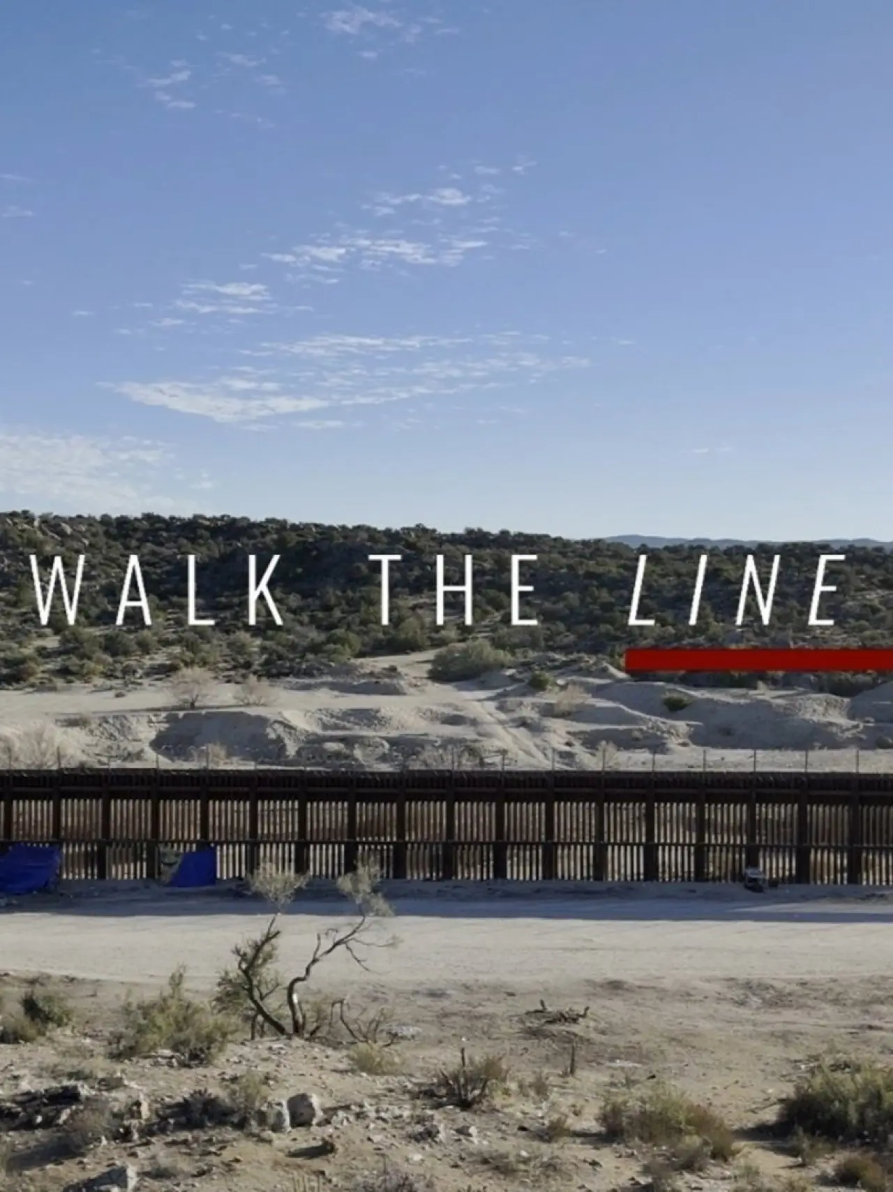 Movie poster "Walk The Line"