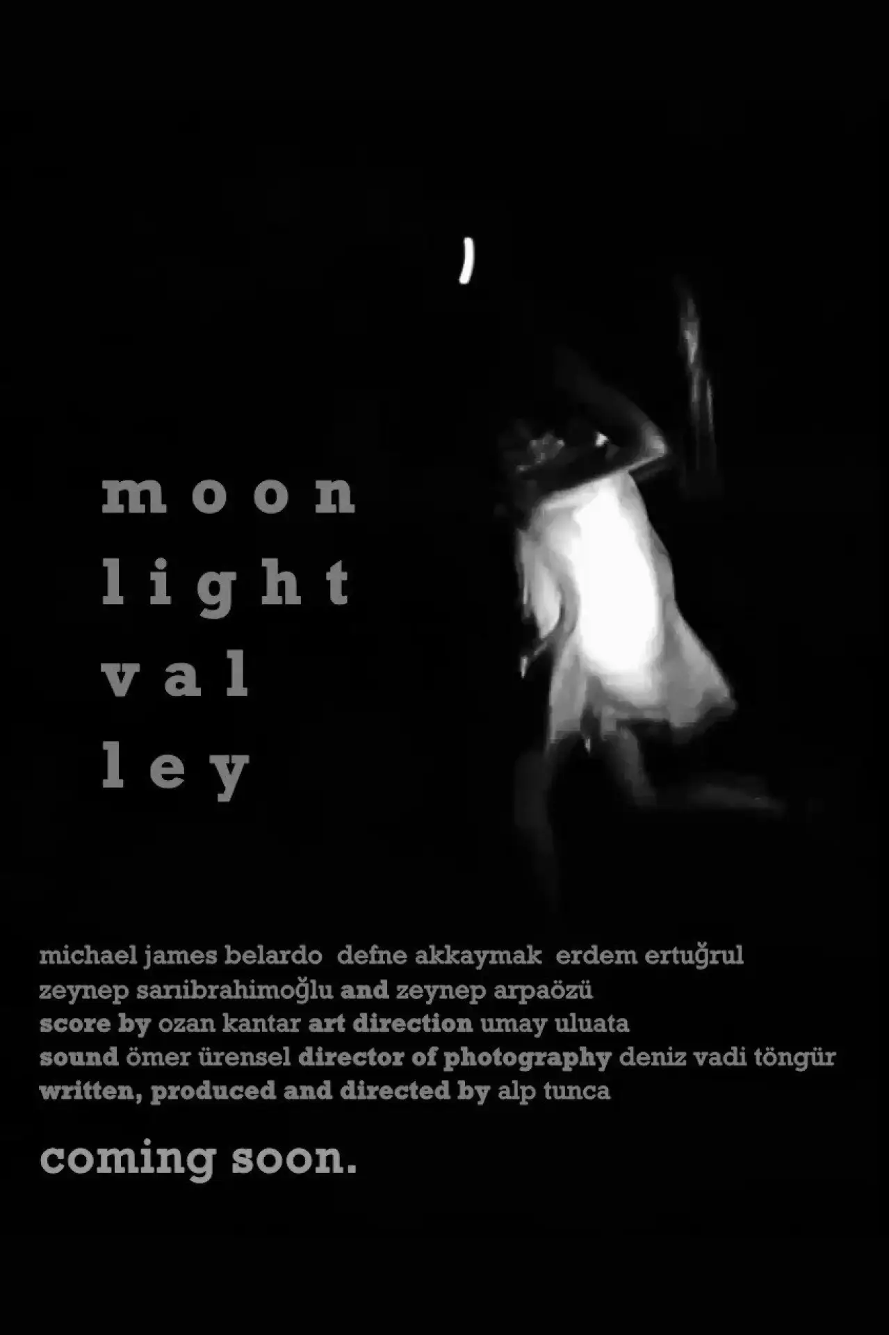 Movie poster "Moonlight Valley"