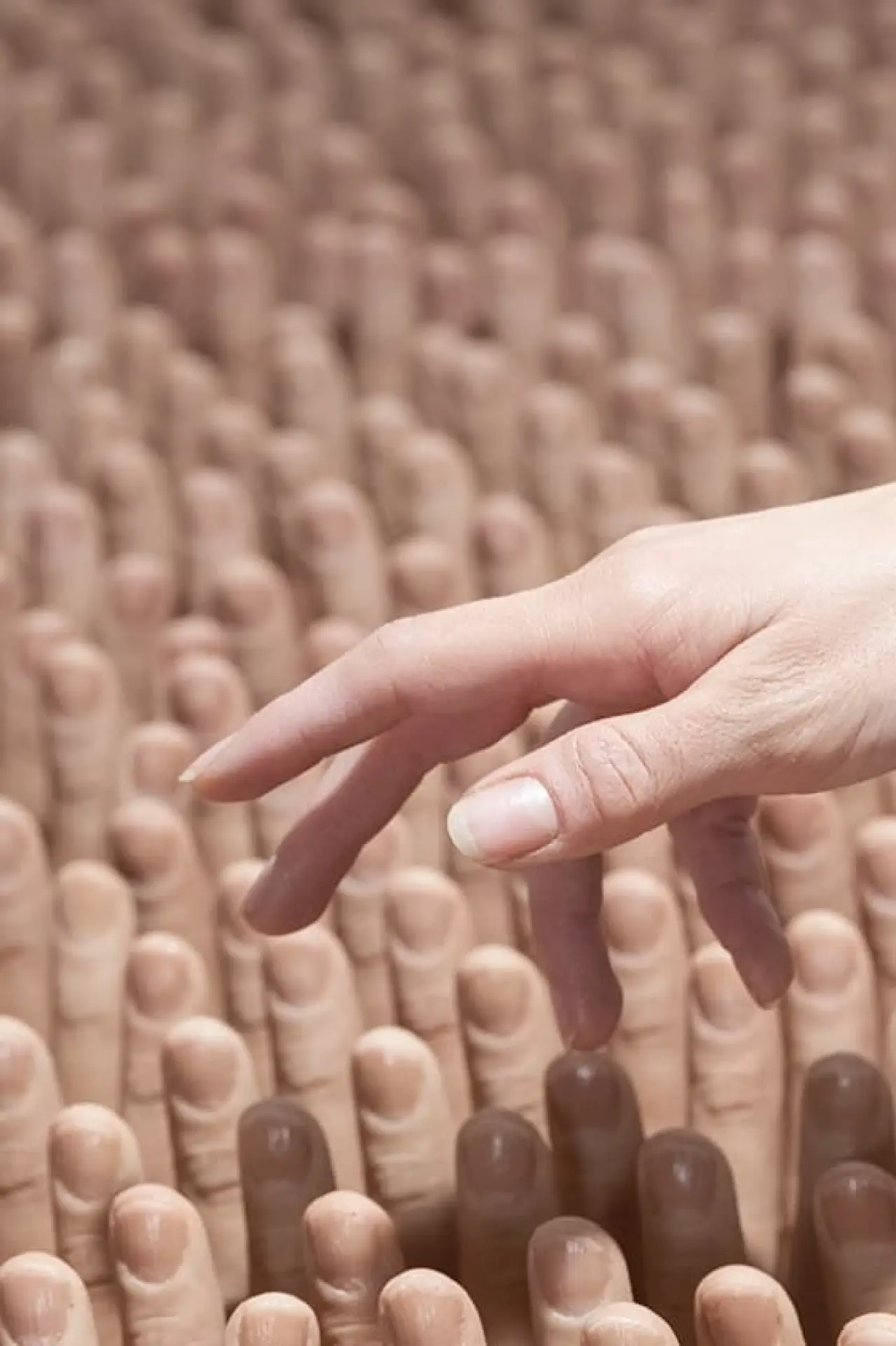 Movie poster "The Finger Rub Rug"