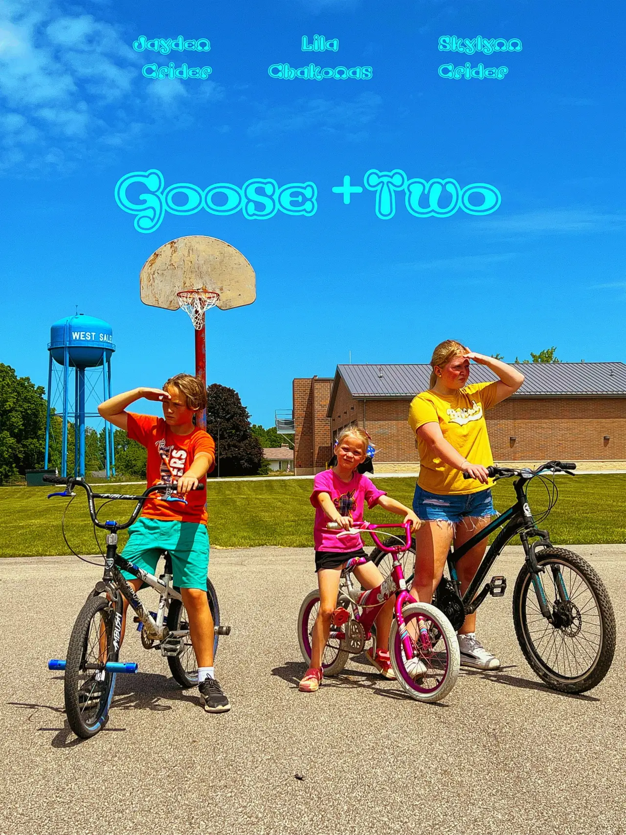 Movie poster "Goose + 2"