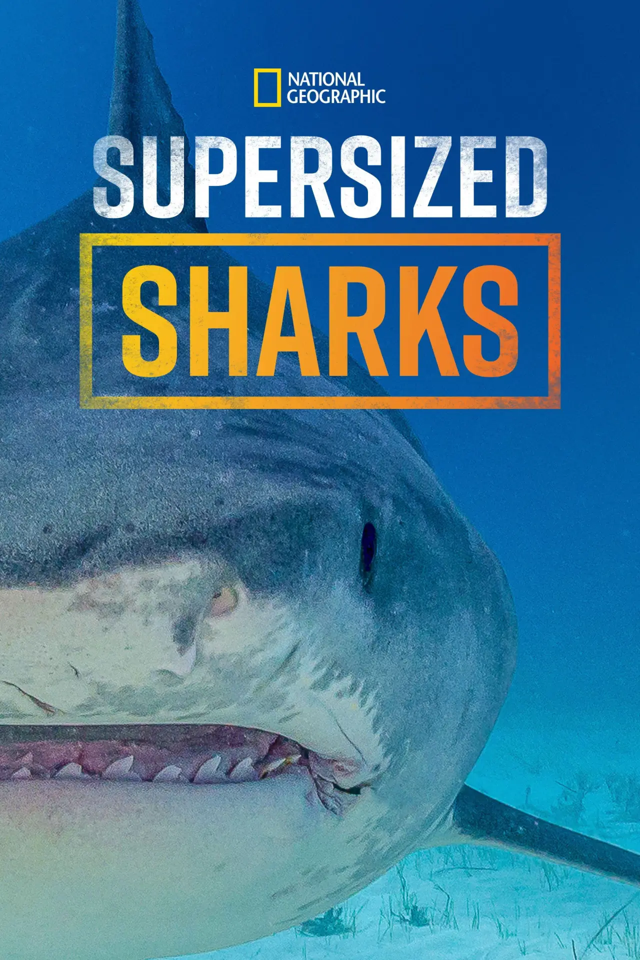 Movie poster "Supersized Sharks"