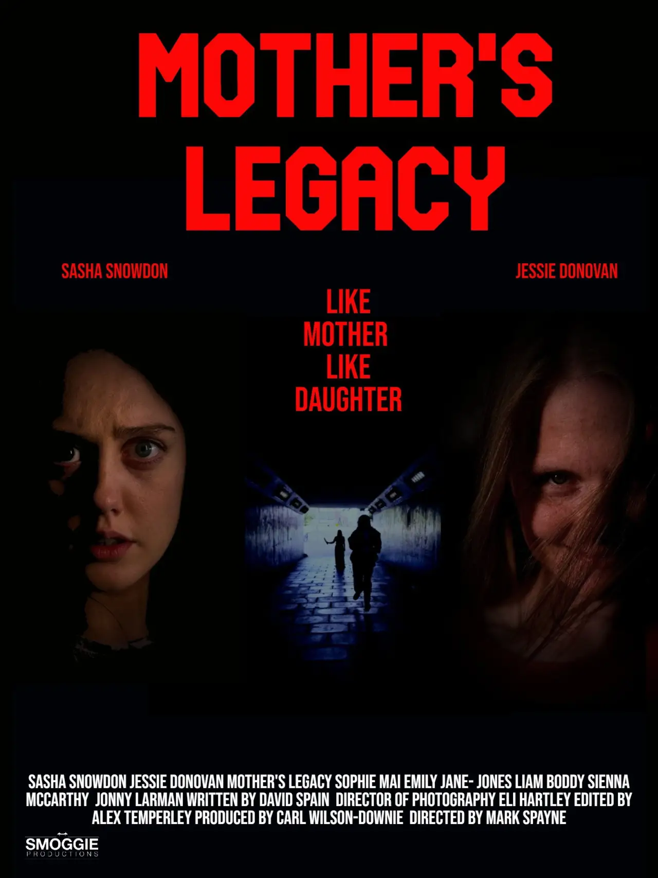 Movie poster "Mothers Legacy"