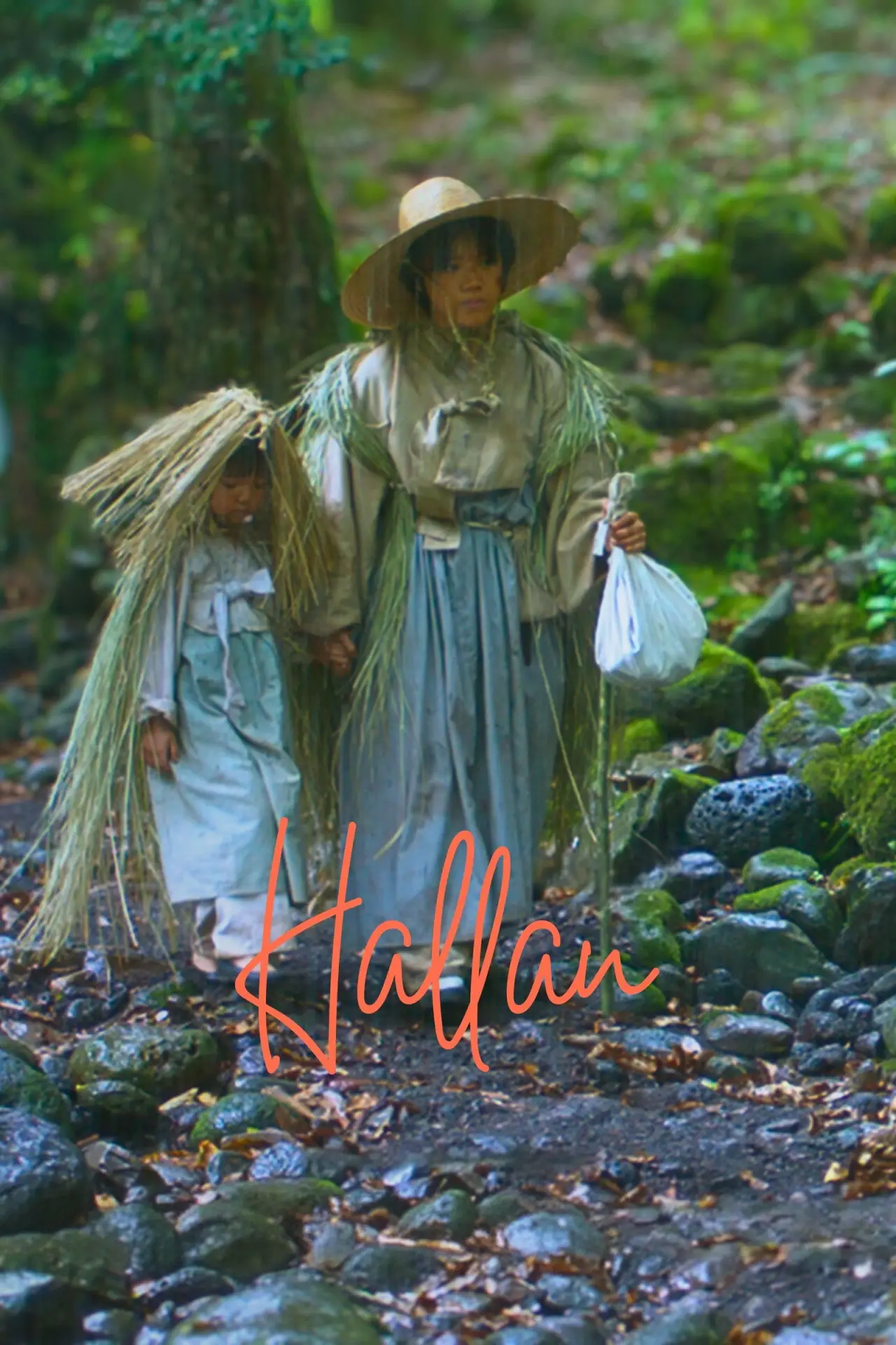 Movie poster "Hallan"