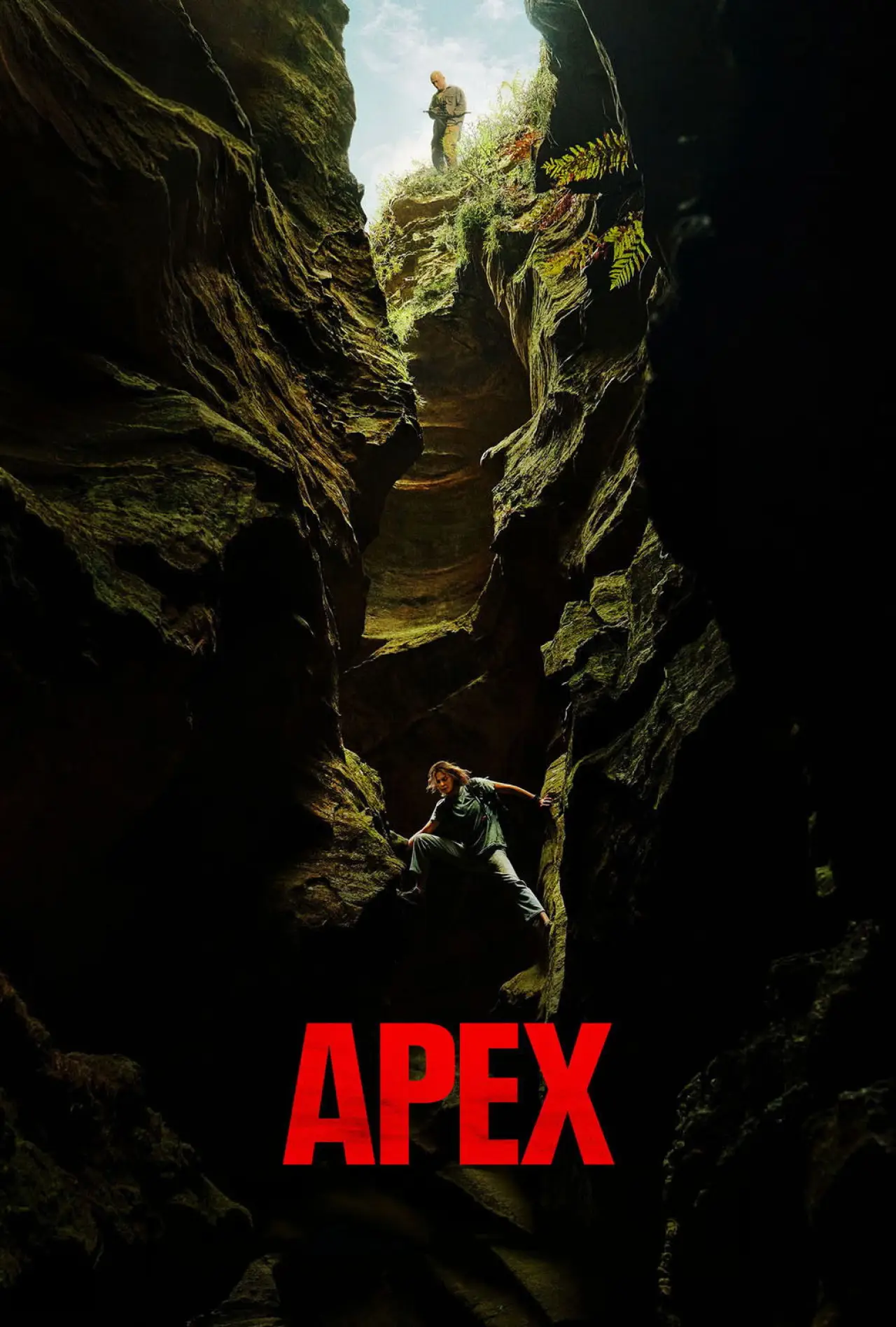 Movie poster "APEX"