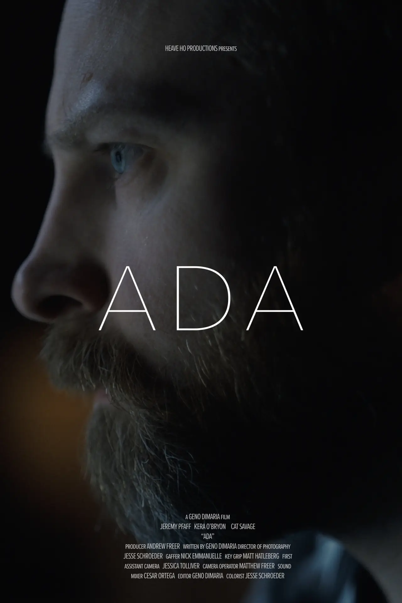 Movie poster "ADA"