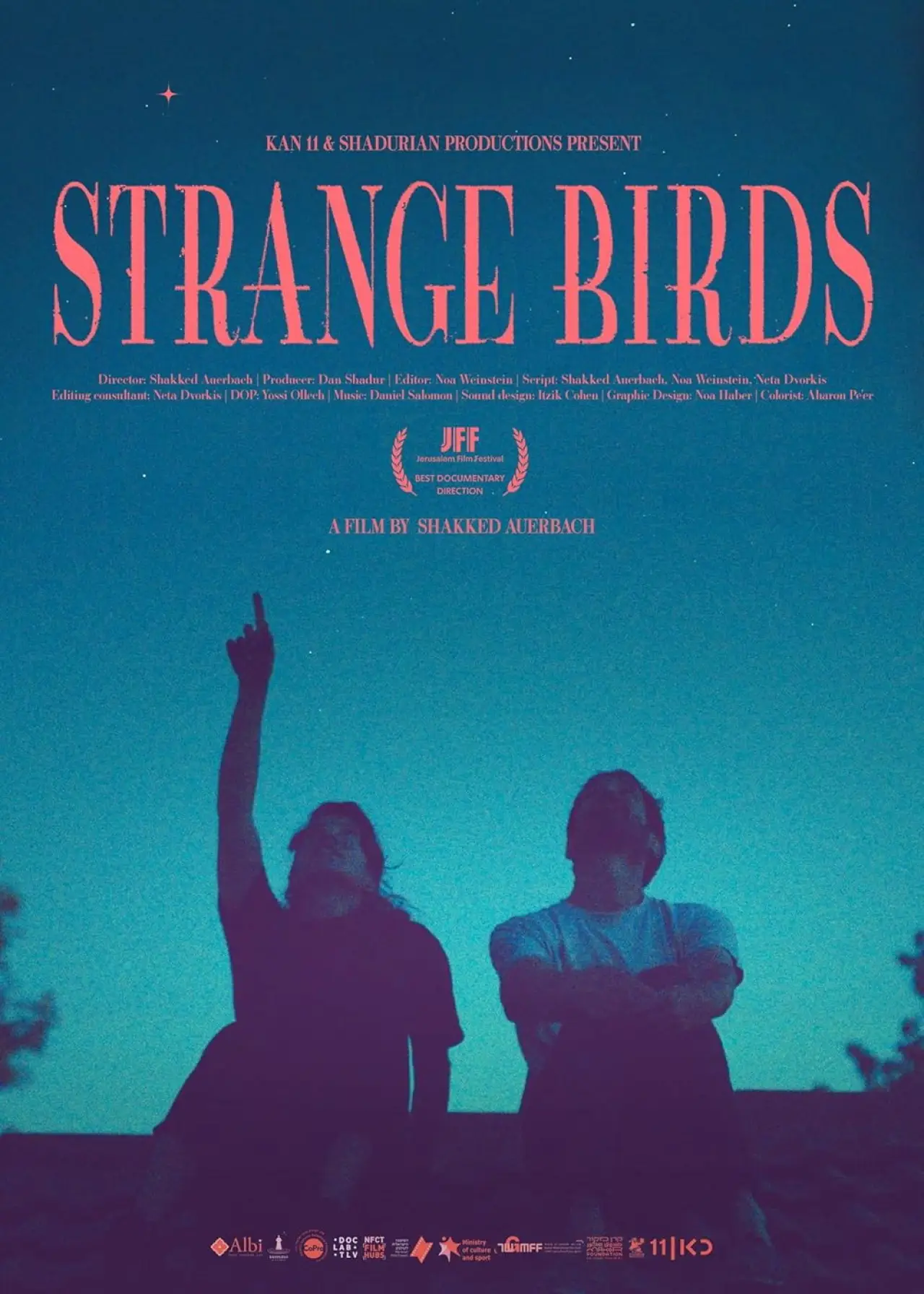 Movie poster "Strange Birds"