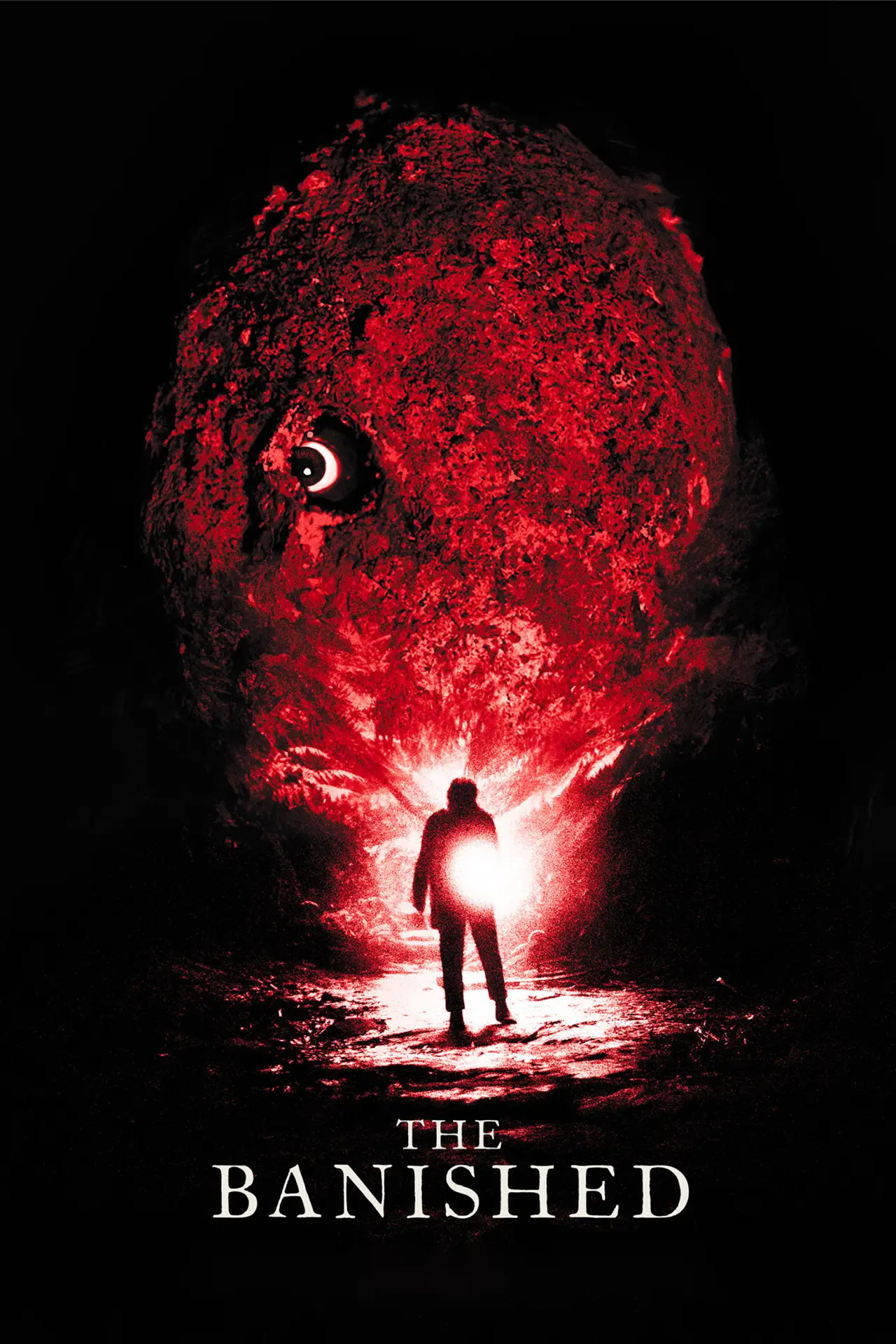 Movie poster "The Banished"