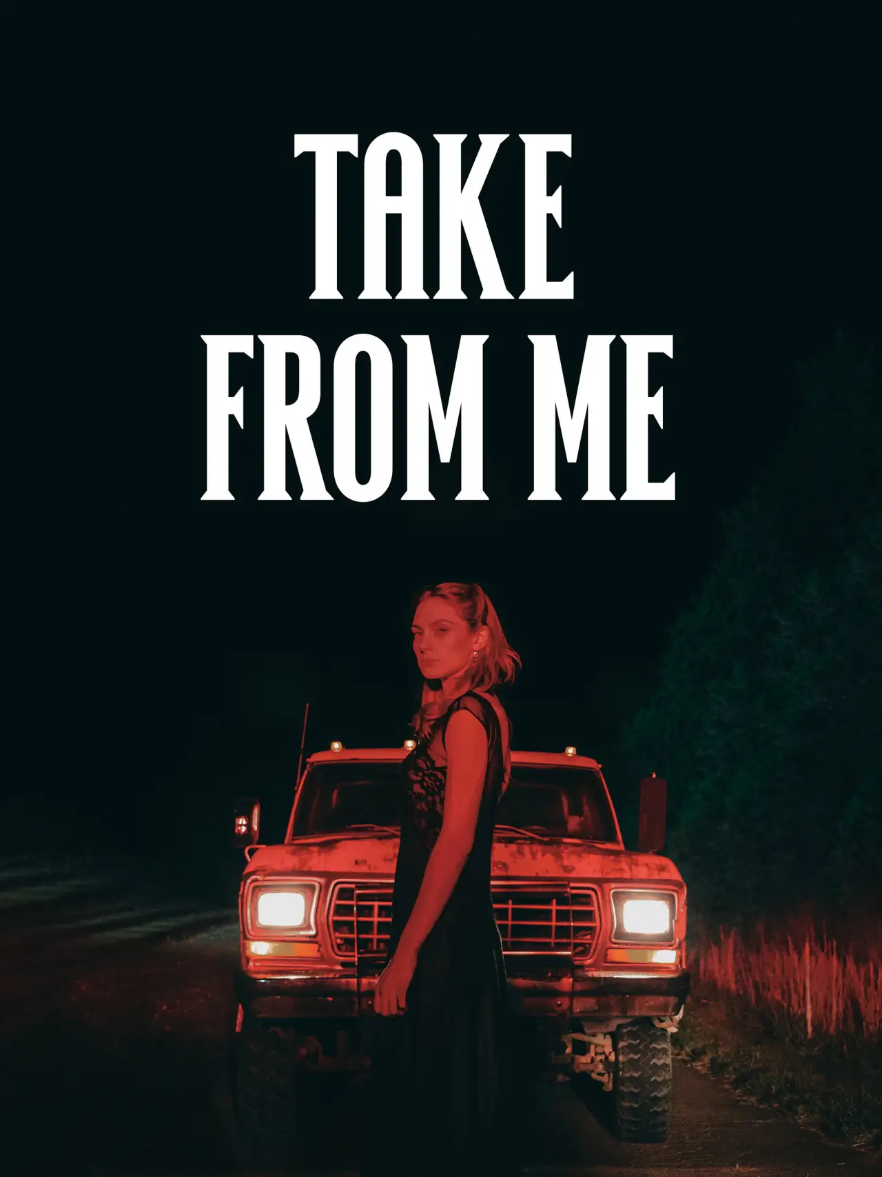 Movie poster "Take from Me"