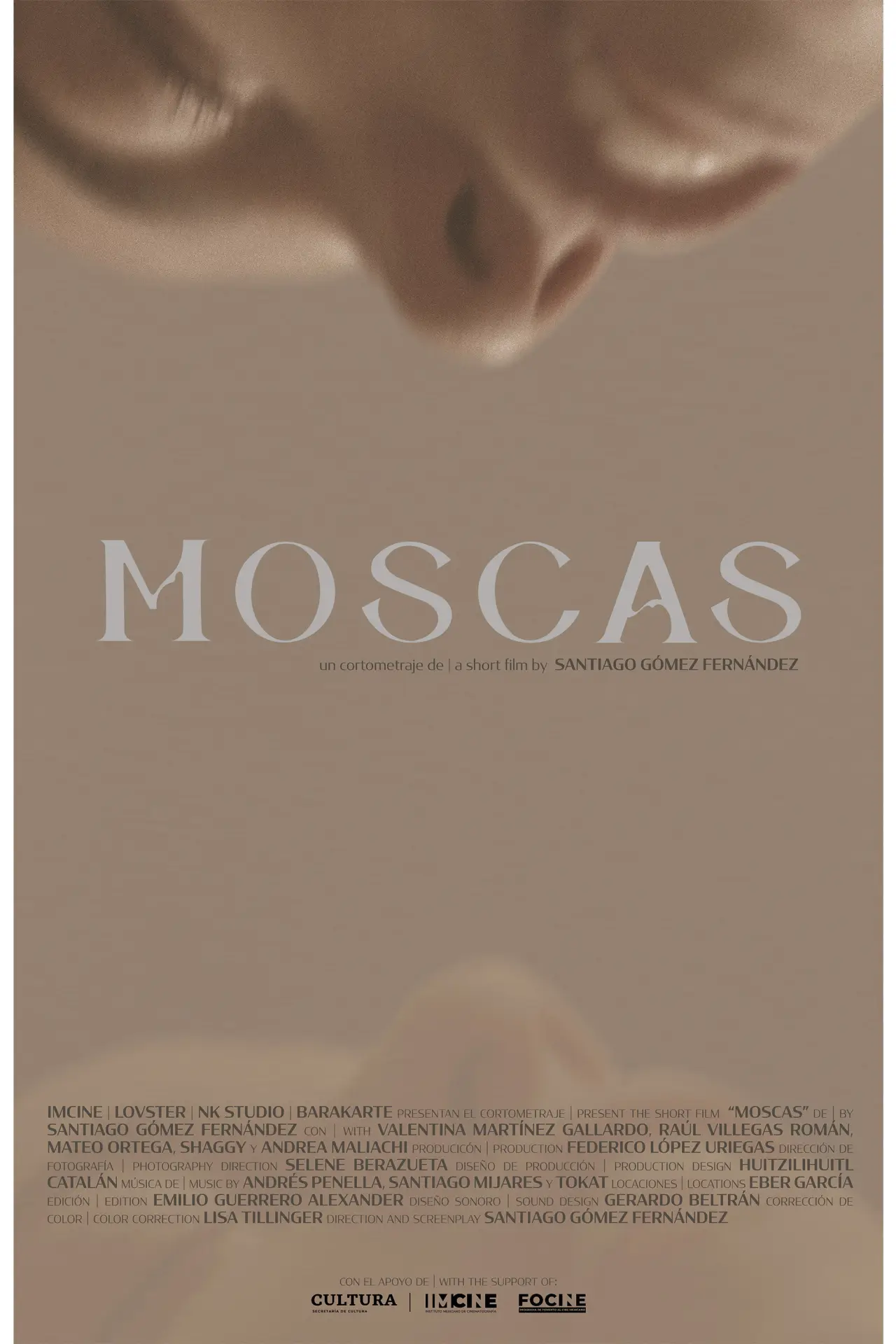Movie poster "Moscas"