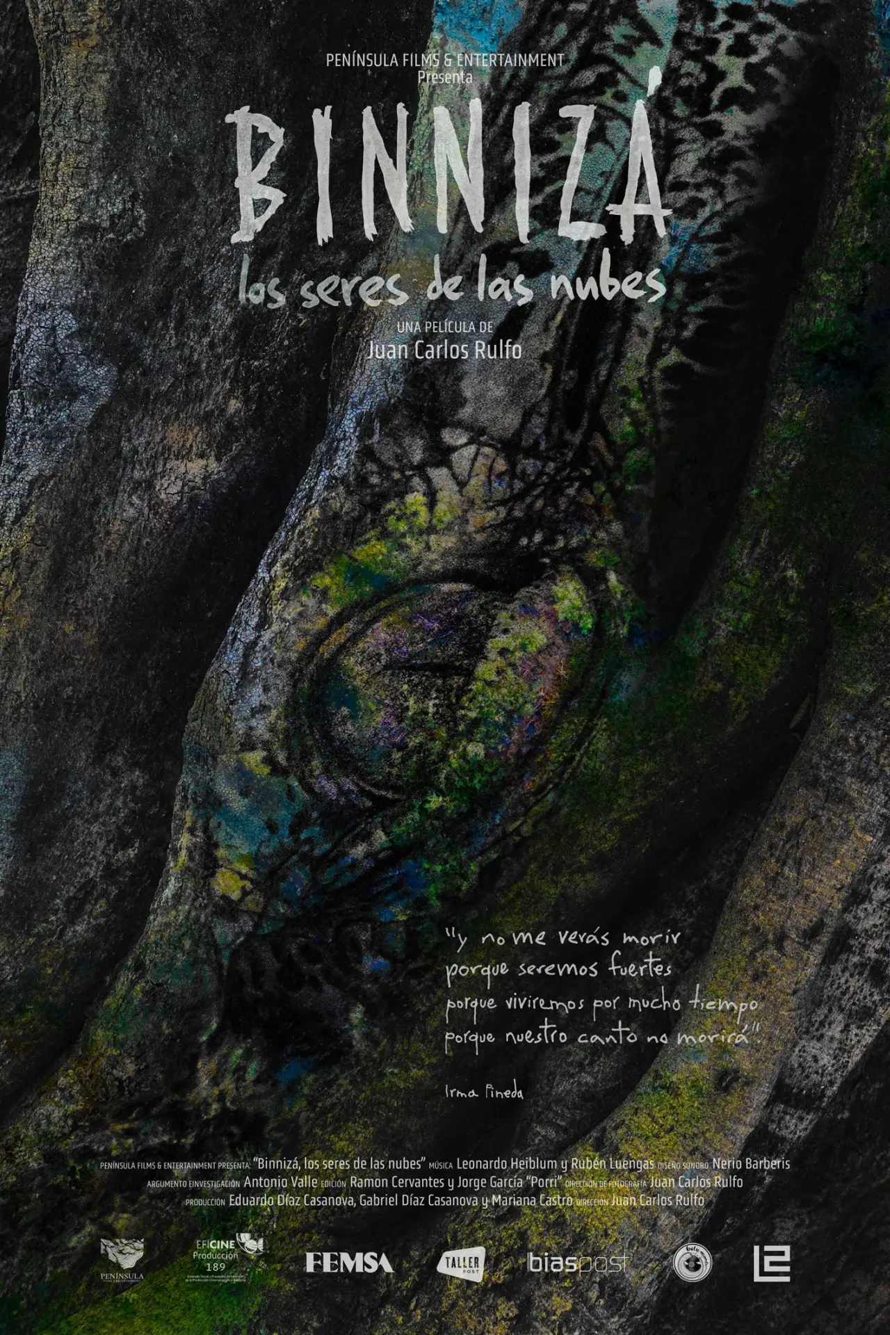 Movie poster "Binnizá, The Beings Of The Clouds"