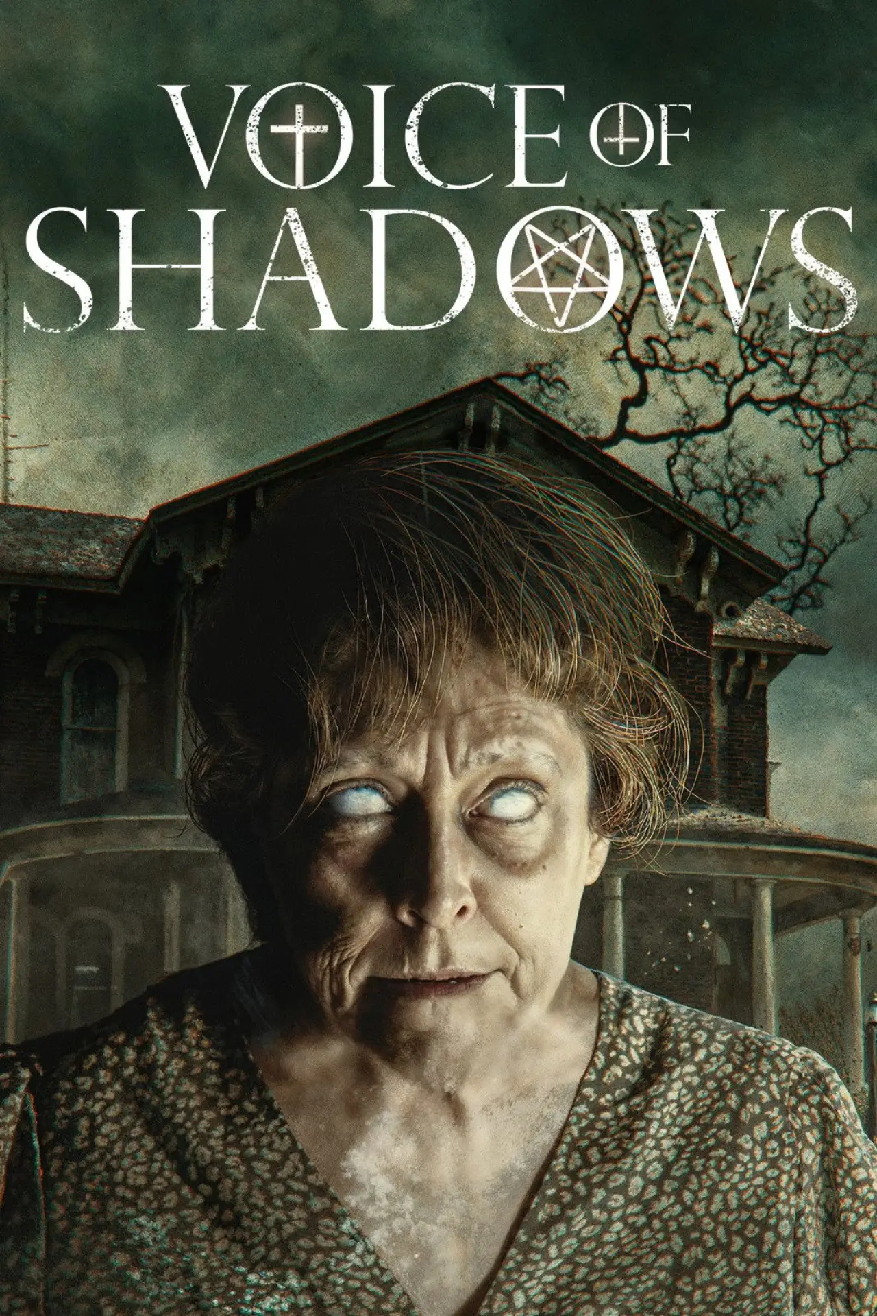 Movie poster "Voice of Shadows"