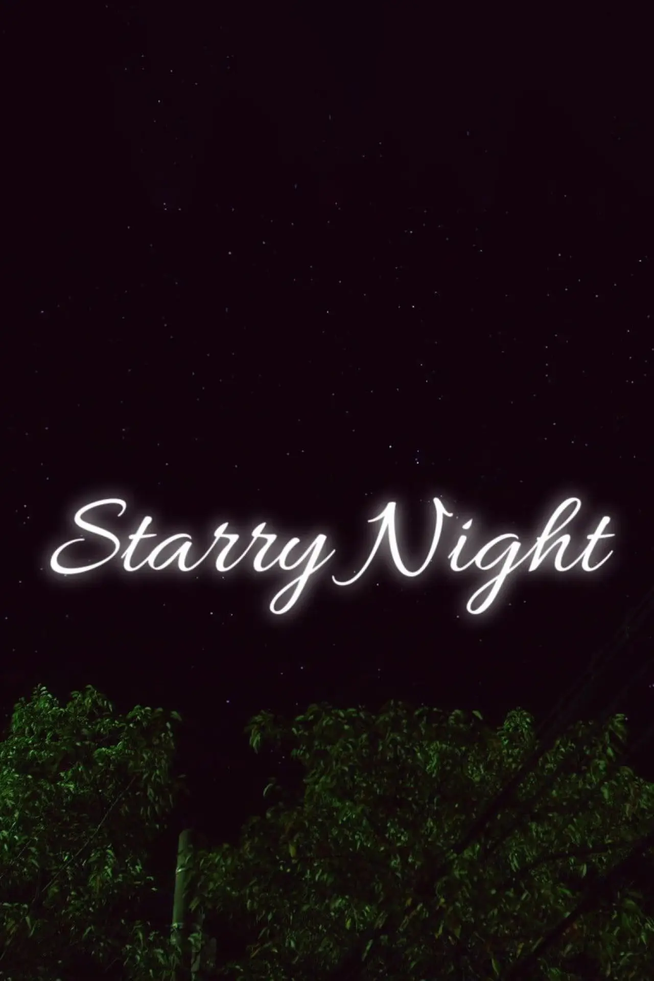 Movie poster "Starry Night"