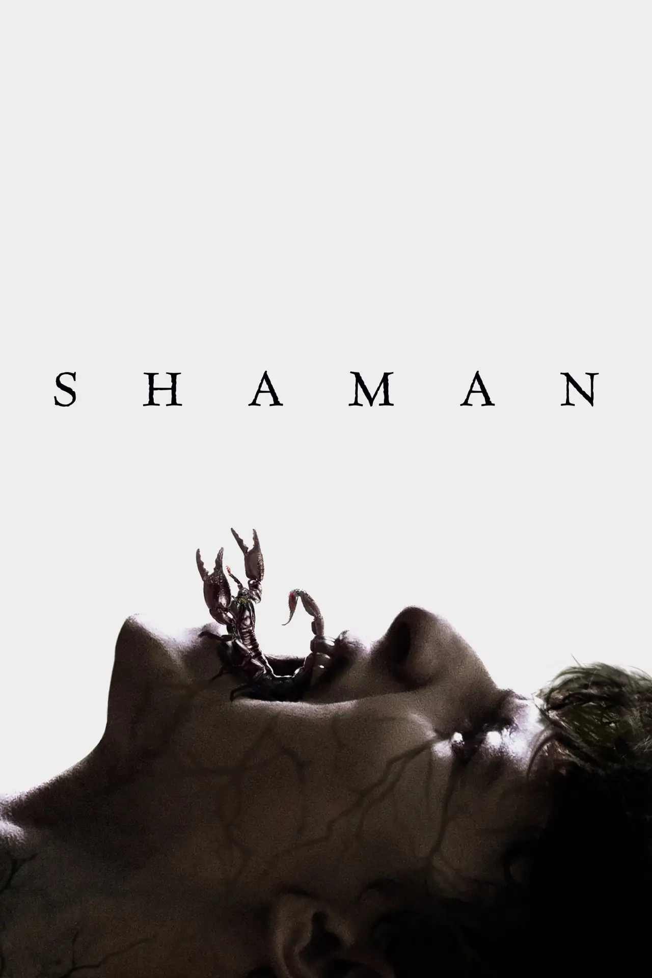 Movie poster "Shaman"