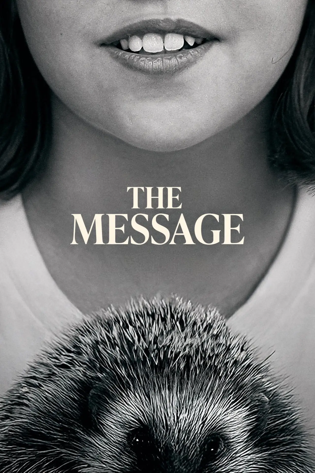Movie poster "The Message"