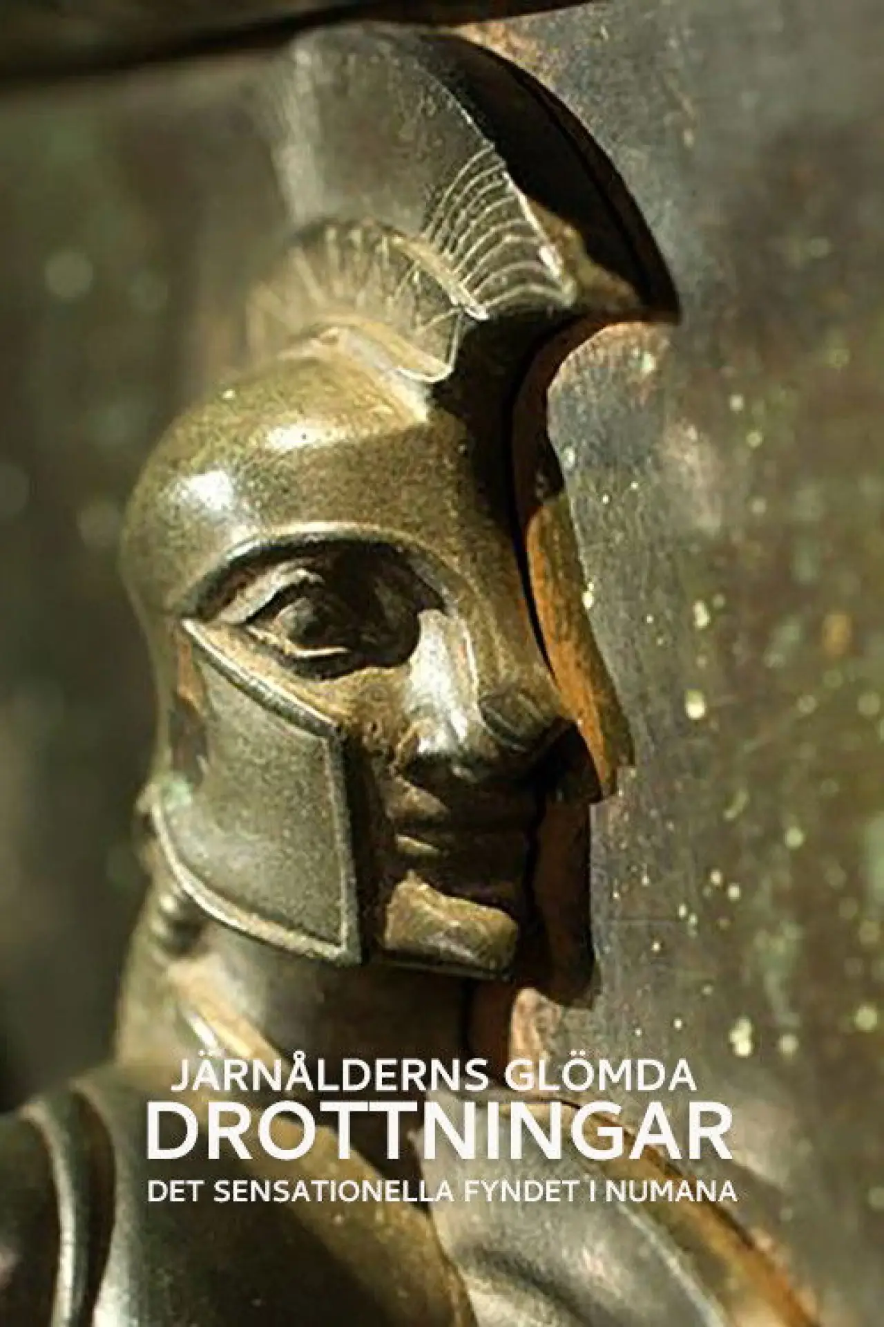Movie poster "Die vergessenen Königinnen Europas Schatzfund an der Adria"