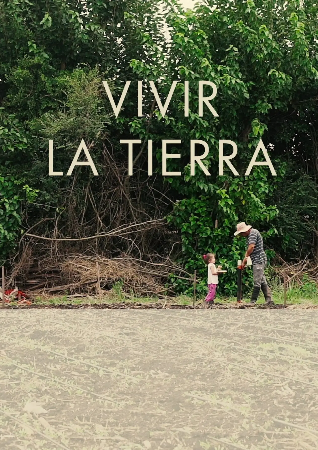 Movie poster "Live  on the ground"