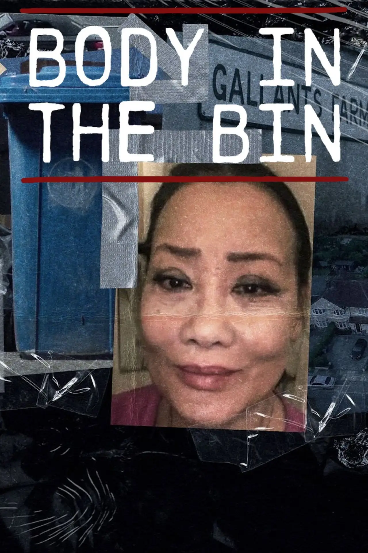 Movie poster "Body in the Bin: The Murder of Louise Kam"