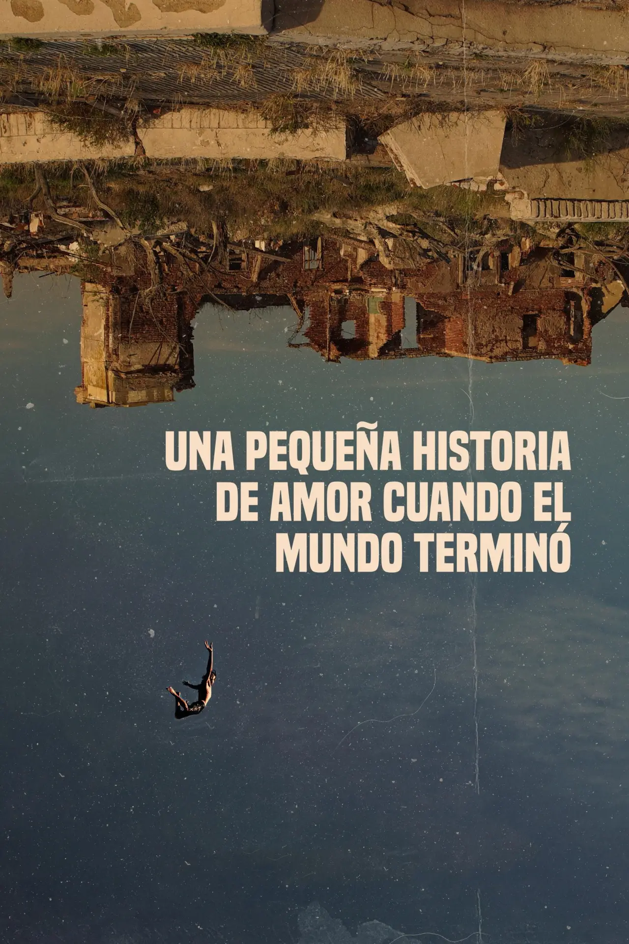 Movie poster "Una pequeña historia de amor cuando el mundo terminó"