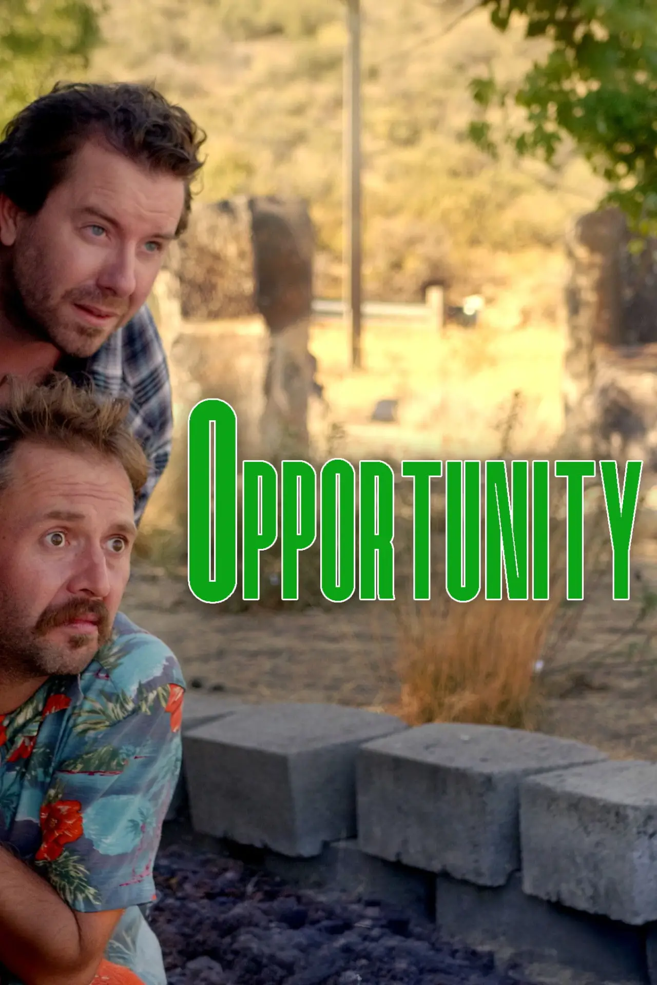 Movie poster "Opportunity"
