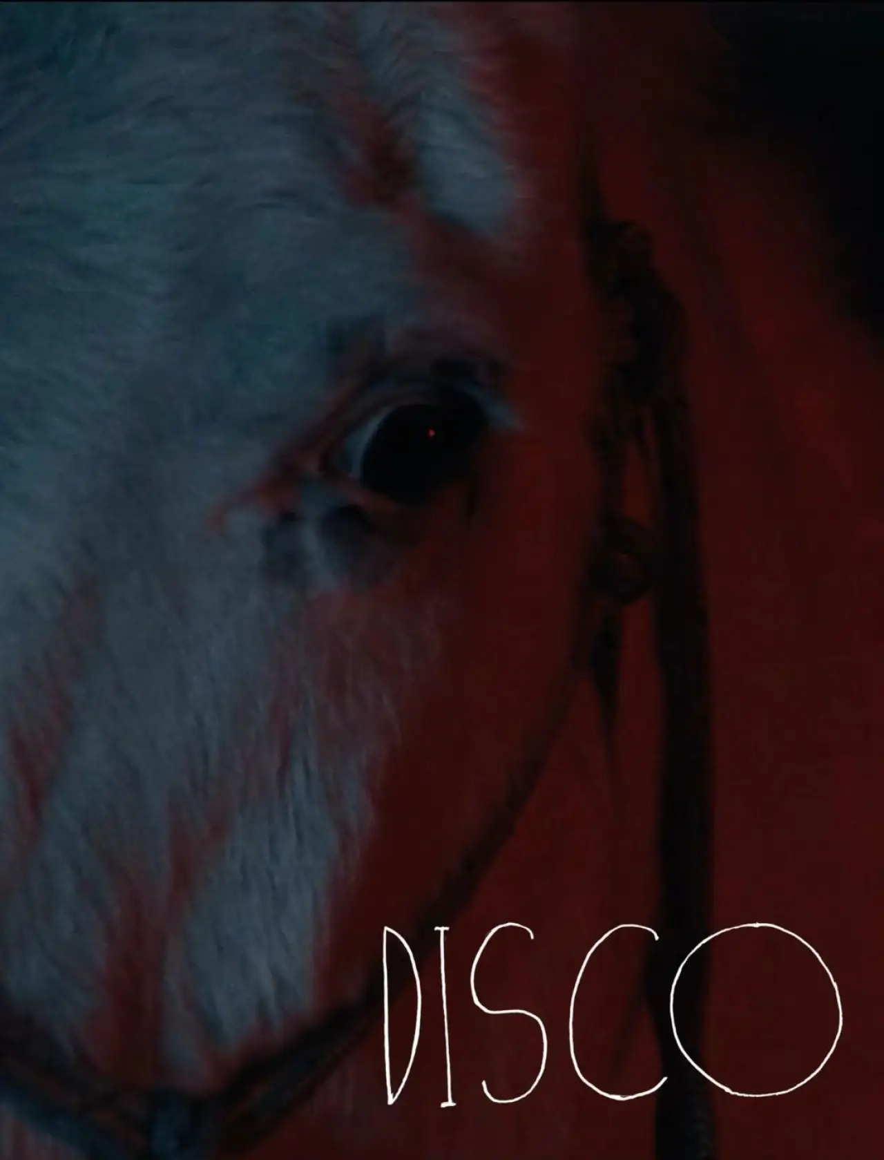 Movie poster "Disco"
