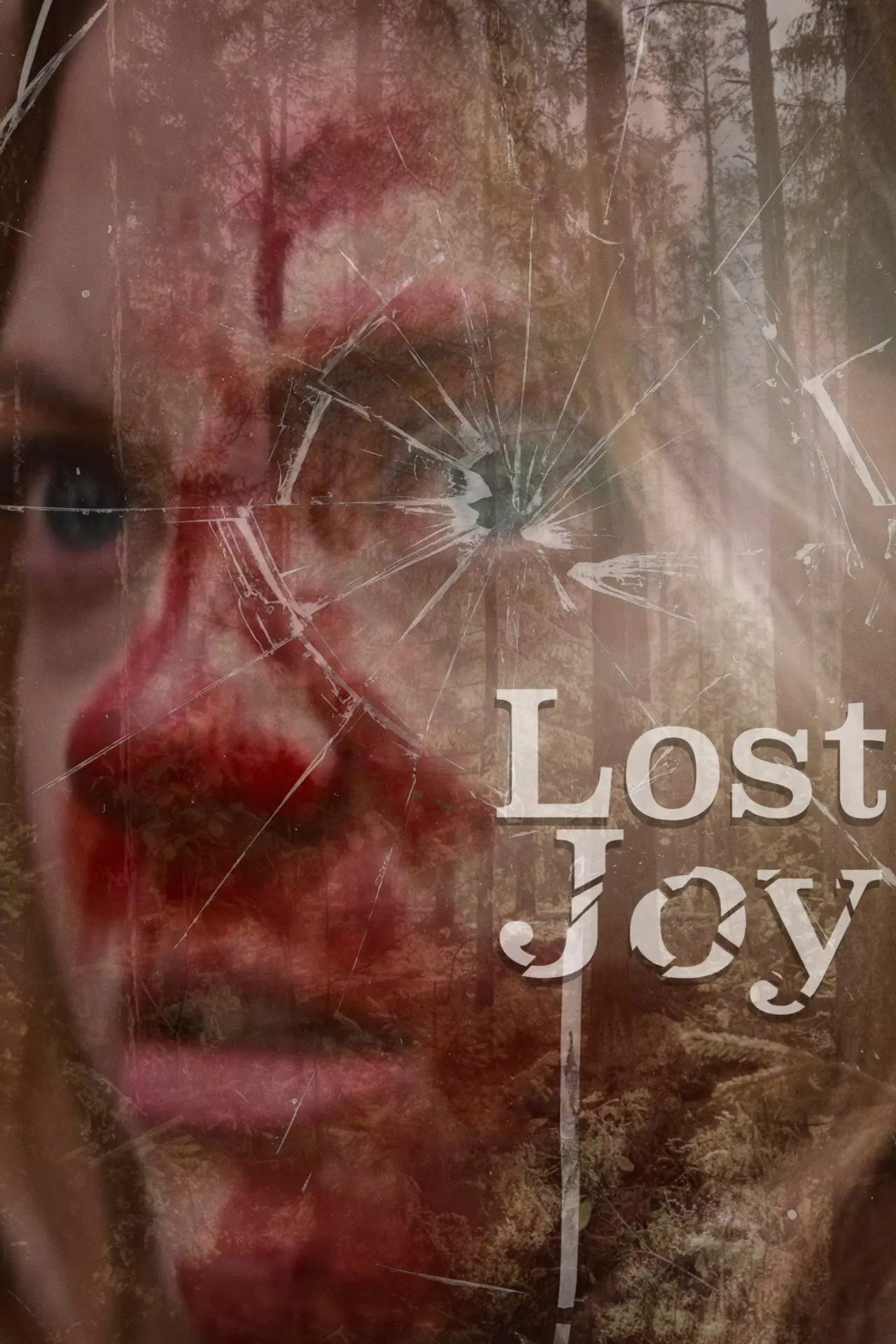 Movie poster "Lost Joy"
