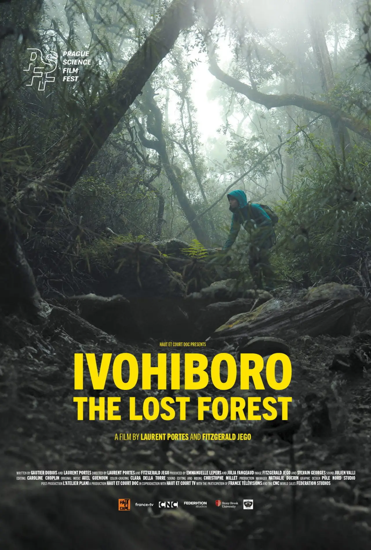Movie poster "Ivohiboro, la forêt oubliée"