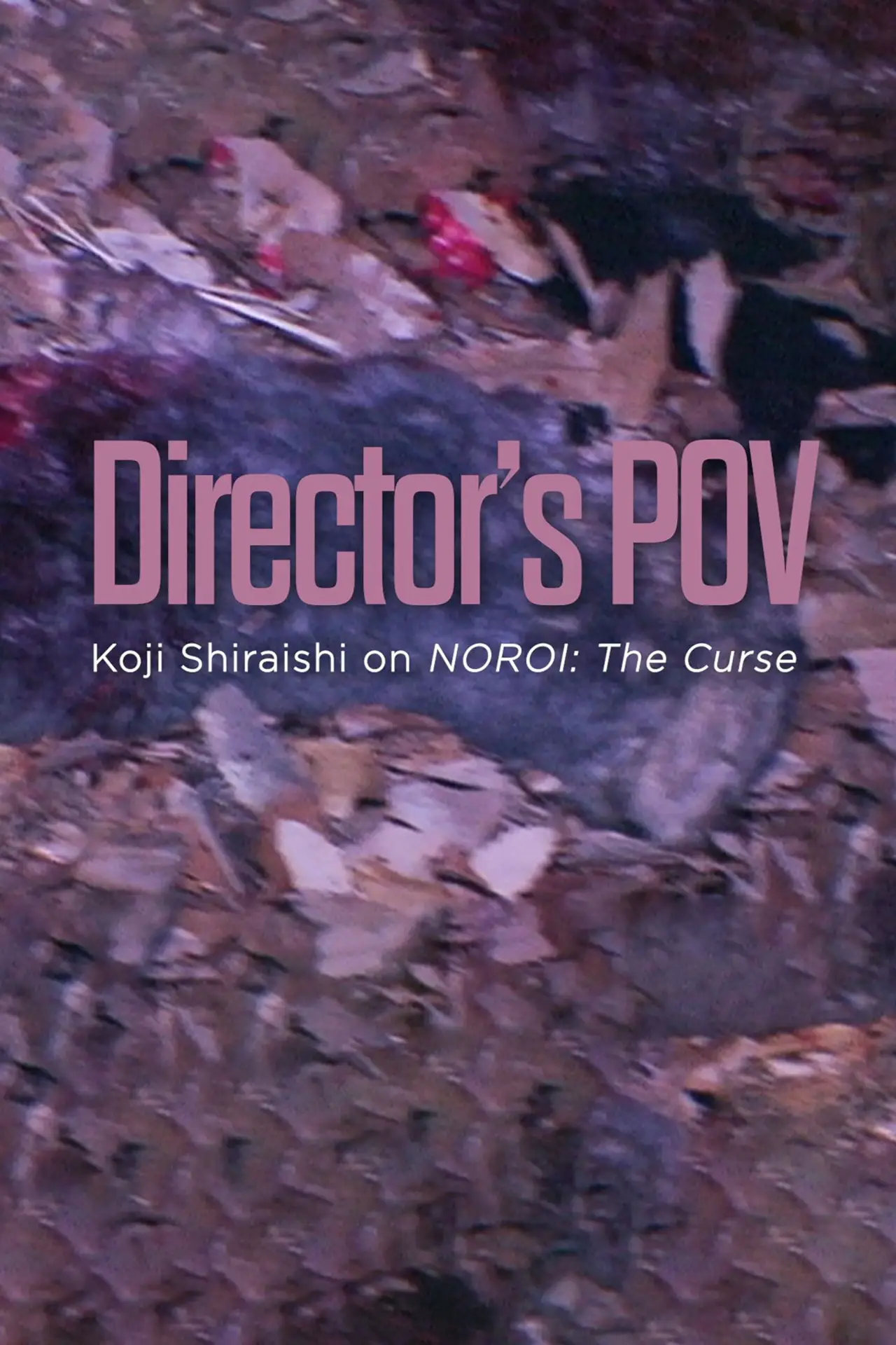 Movie poster "Director