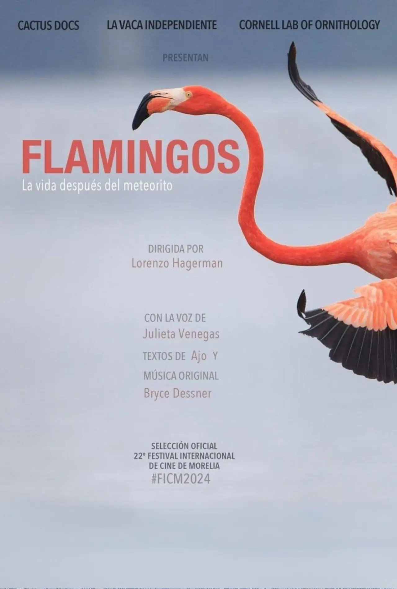 Movie poster "Flamingos: Life After the Meteorite"