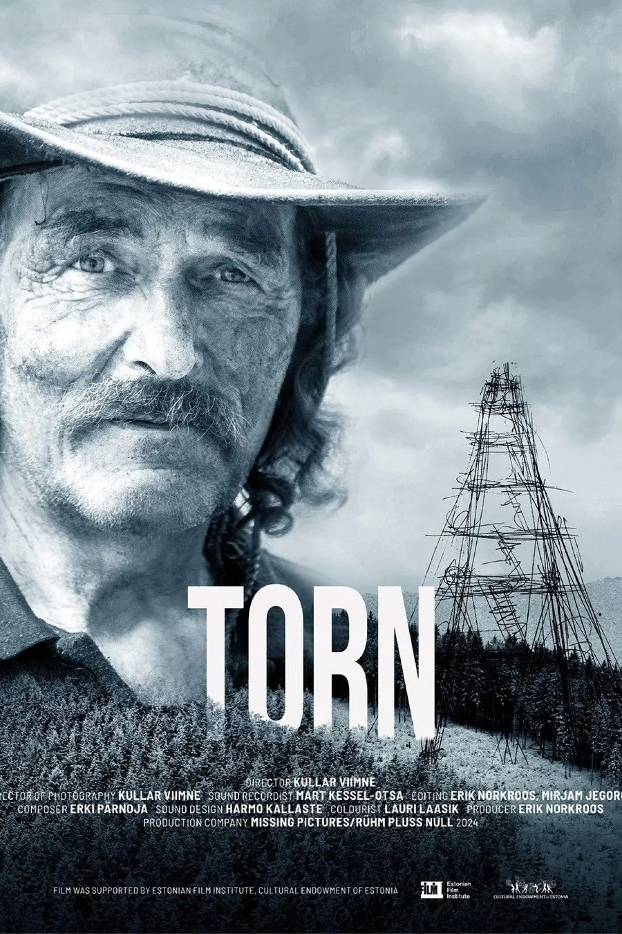 Movie poster "Torn"