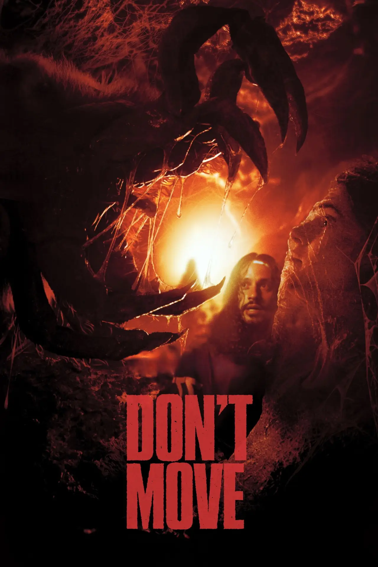 Movie poster "Don